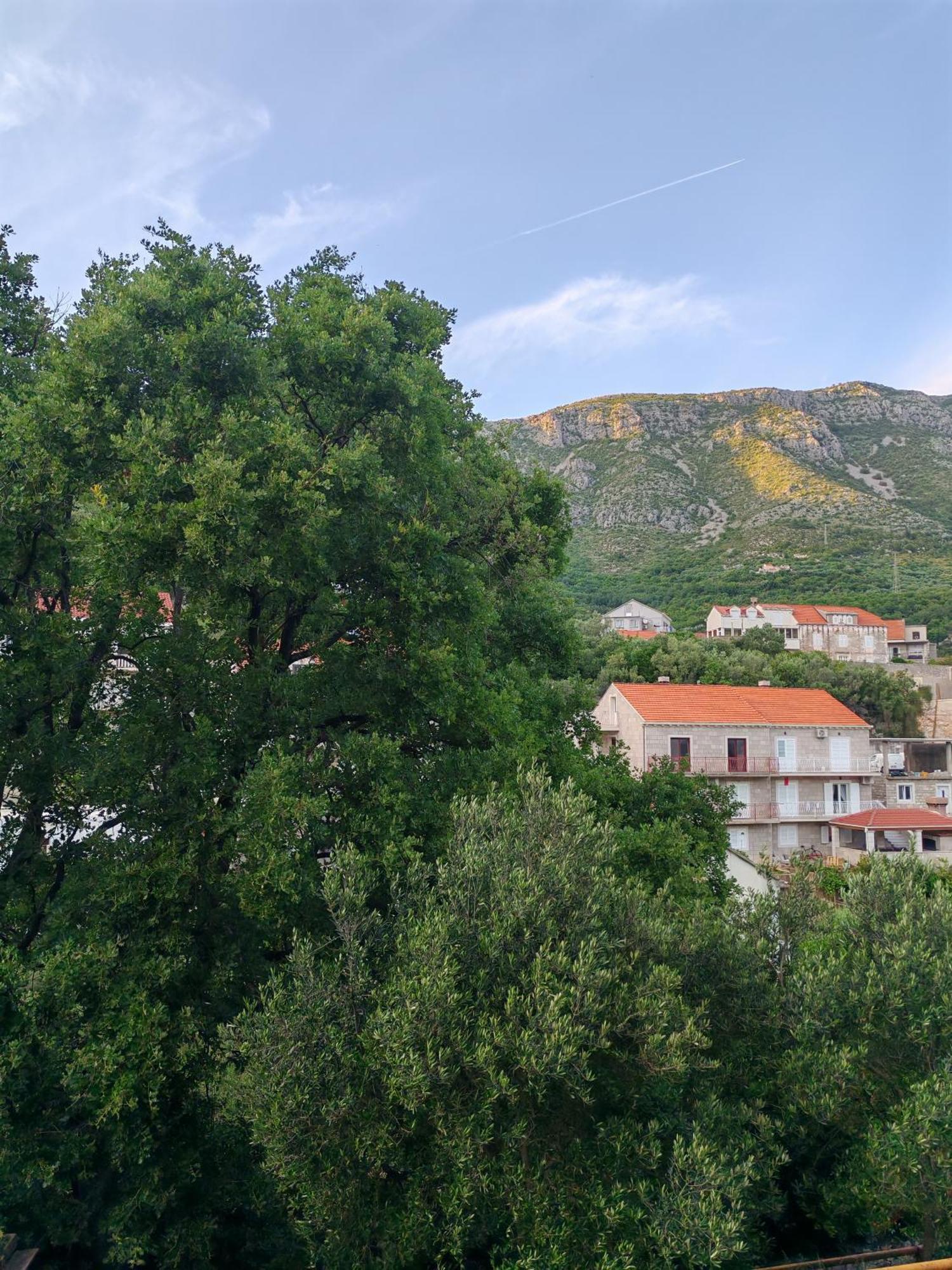 Apartment Oscar Мокошиця Номер фото
